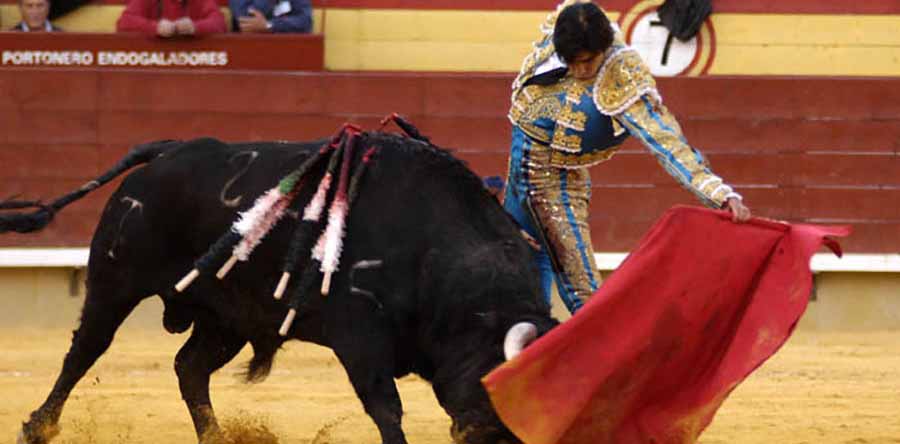 corrida de toros - torero español